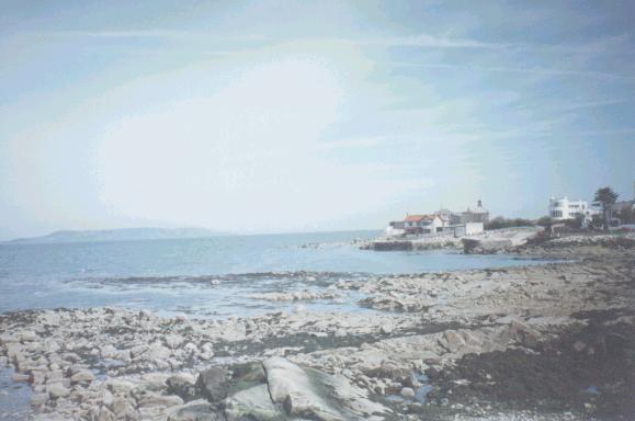 the Forty Foot is beyond those houses